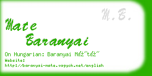 mate baranyai business card